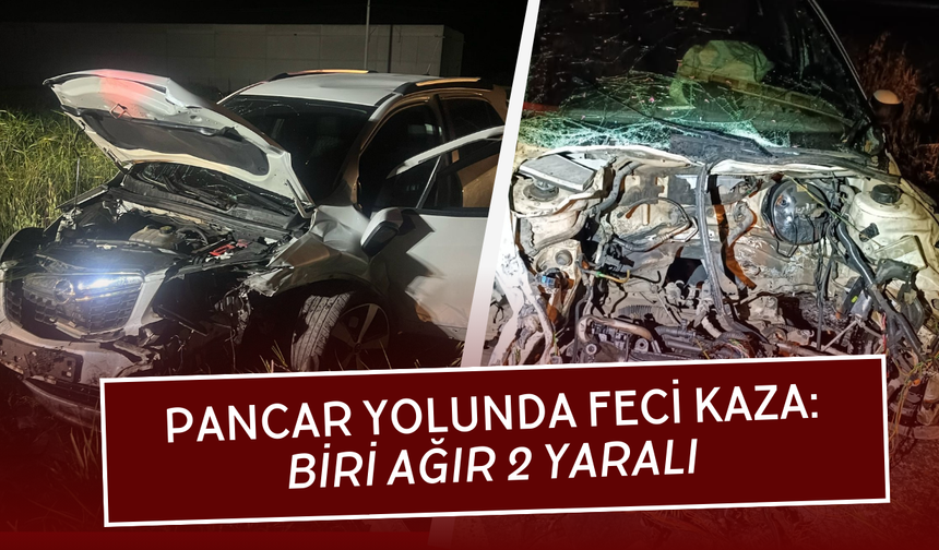 Pancar yolunda can pazarı