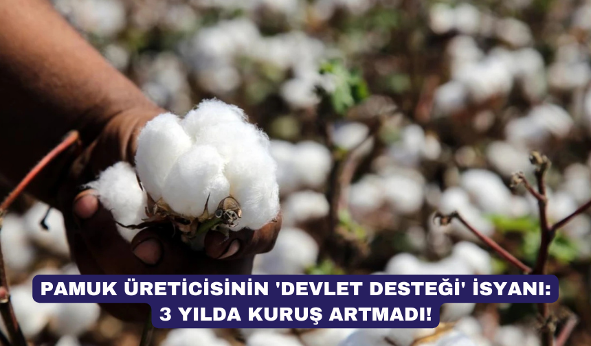Pamuk üreticisinin 'devlet desteği' isyanı