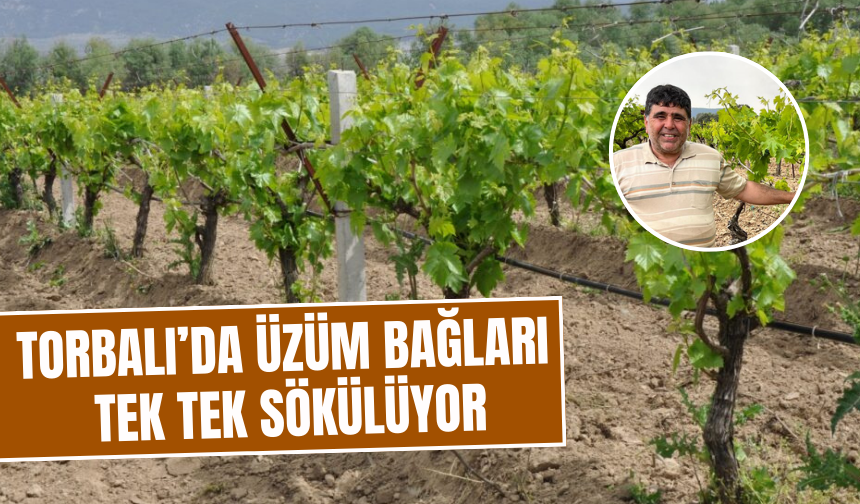 Üretici alternatif ürünlere yöneliyor