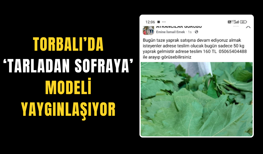 Aracıları devre dışı bırakan üretici, tarladan sofraya hizmet veriyor!