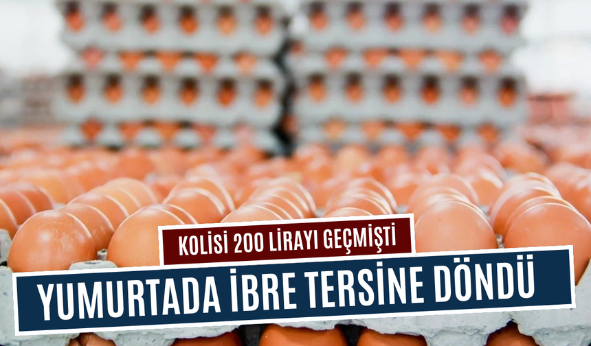 Yumurtadaki düşüş vatandaşın yüzünü güldürdü