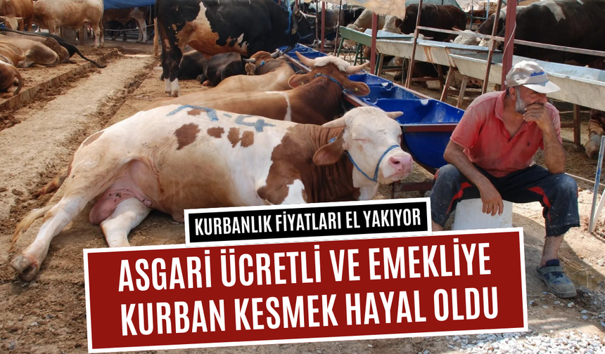 Kurban fiyatları el yakıyor