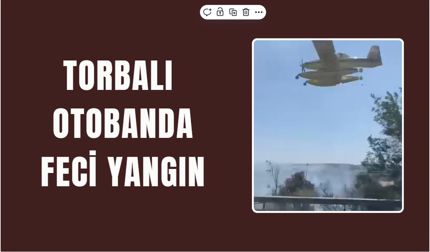 Havadan ve karadan müdahale edildi