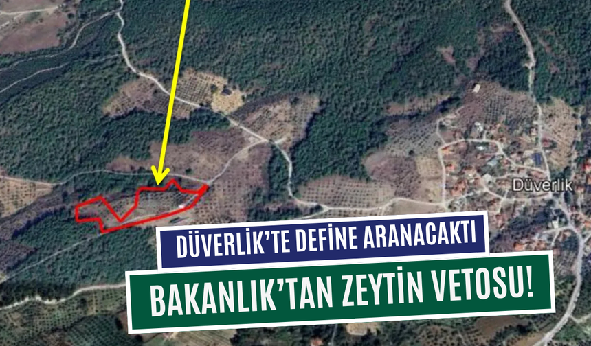 Define aramaya zeytin vetosu!