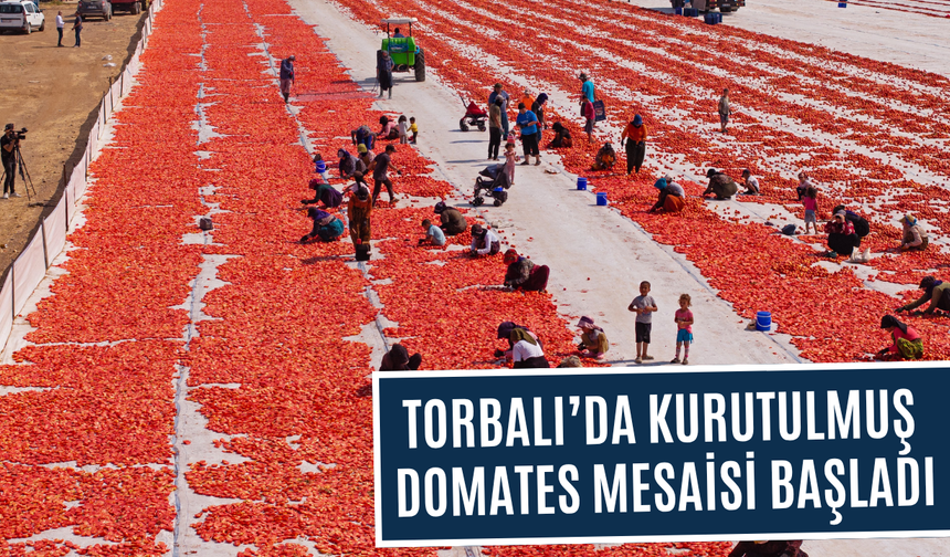 Torbalı’dan Amerika’ya uzanan lezzet: Kuru domates rekor kırıyor