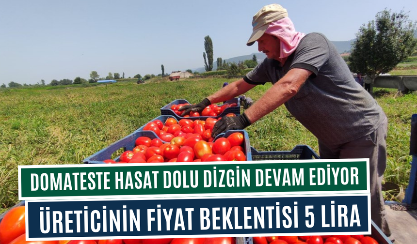 Hasat doludizgin devam ediyor