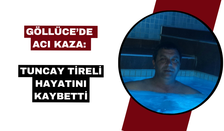 Göllüce’de Domuz Sürüsü Kazaya Yol Açtı: 1 Ölü