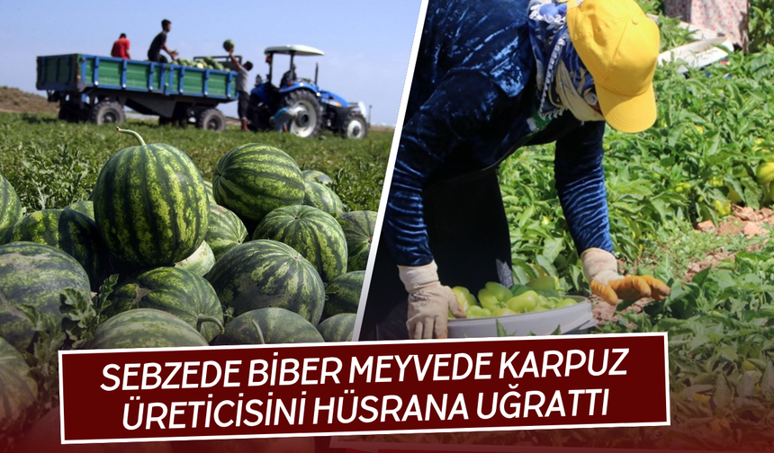 Torbalı'da Biber ve Karpuz Üreticisini Hüsrana Uğrattı