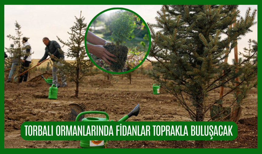 Fidanlar toprakla buluşacak