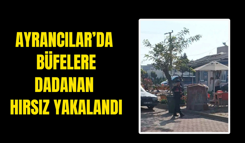 Büfe Hırsızı Jandarmadan Kaçamadı