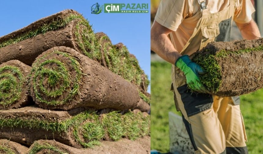 Hazır Rulo Çim Nedir? M2 Fiyatı Ne Kadar? Nereden Alınır?