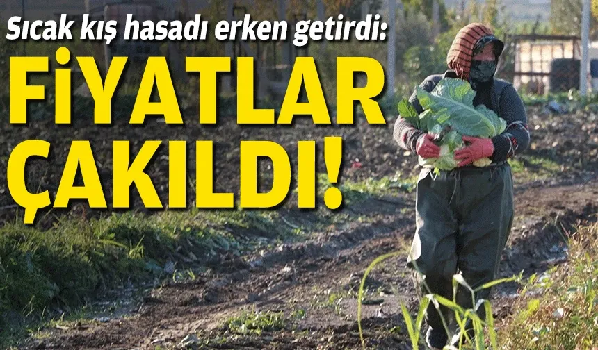 Sıcak kış hasadı erken getirdi: Fiyatlar çakıldı!