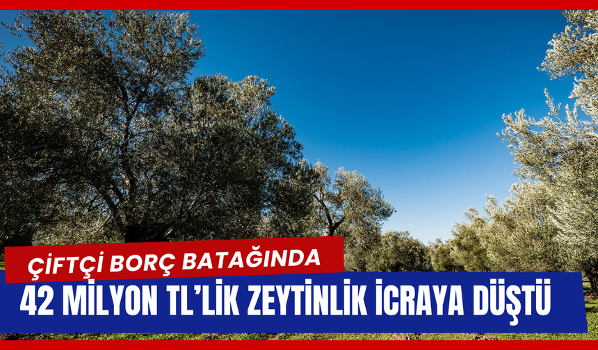 Tarım Alanları da Krize Yenik Düştü