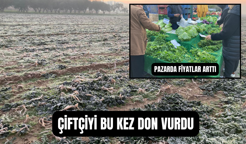 Çiftçiyi bu kez don vurdu