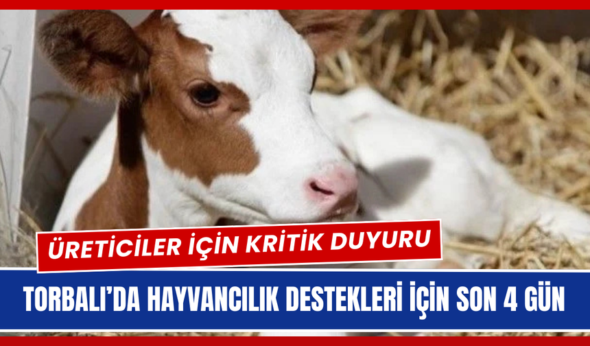 Torbalı’da Hayvancılık Destekleri İçin Son 4 Gün