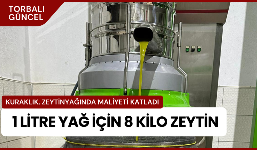 Kuraklık Zeytinyağını Vurdu: Torbalı Ovası’nda Verim Düştü