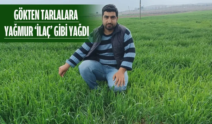 Yerin altı da bayram etti üstü de