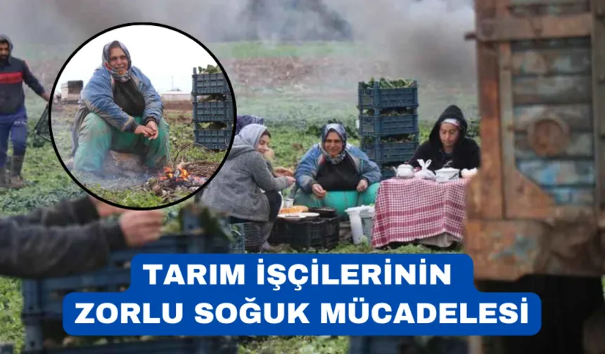 Dondurucu havada ekmek mücadelesi