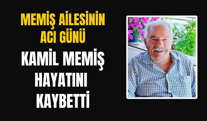 90 yıllık çınar hayatını kaybetti