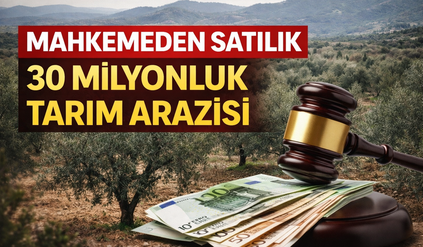 Torbalı’da 39 Dönümlük Zeytinlik İcradan Satışa Çıkarıldı