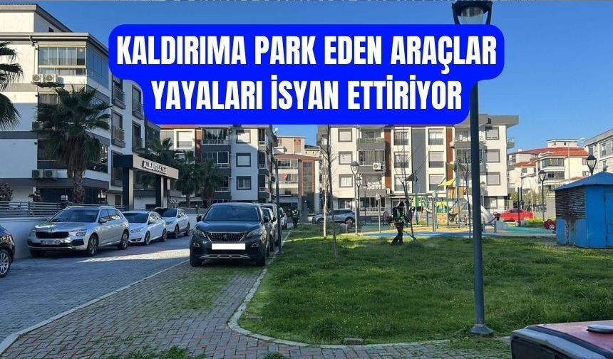 Kaldırıma Park Tepkisi