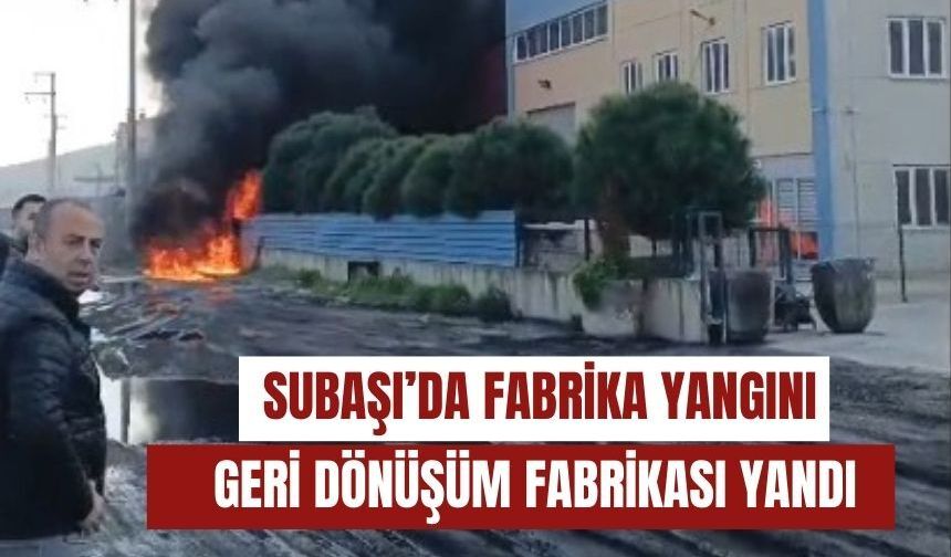 Geri Dönüşüm Fabrikasında Korkutan Yangın