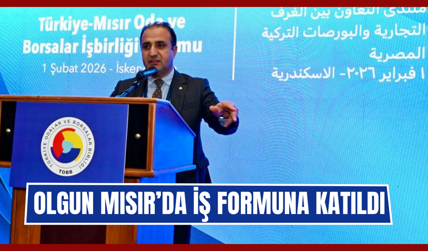 Abdulvahap Olgun, Türkiye–Mısır İşbirliği Forumu’na Katıldı