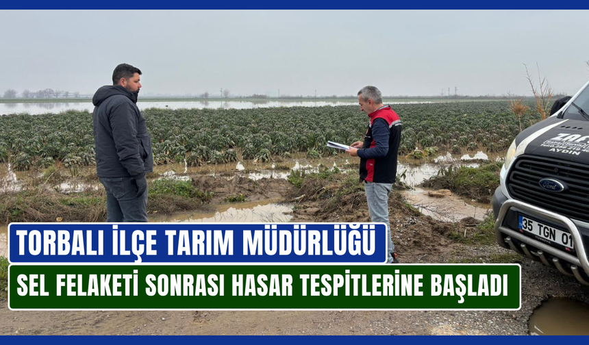 Tarım alanlarında hasar tespit çalışmaları başladı