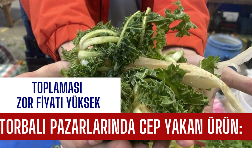 Toplaması zor fiyatı yüksek