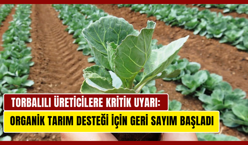 Organik Tarım Desteği İçin Geri Sayım Başladı