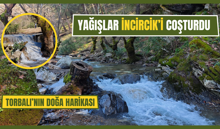 Yağışlar Sonrası Torbalı’da Doğa Canlandı