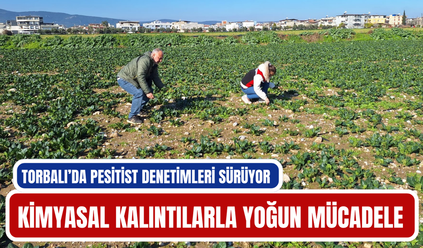 Kimyasal kalıntılarla yoğun mücadele