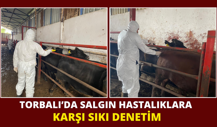 Torbalı’da salgın hastalıklara karşı sıkı denetim