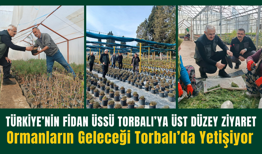Ormanların Geleceği Torbalı’da Yetişiyor