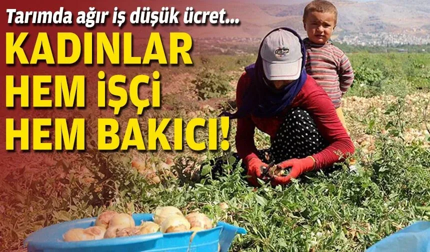 Tarımda ağır iş düşük ücret