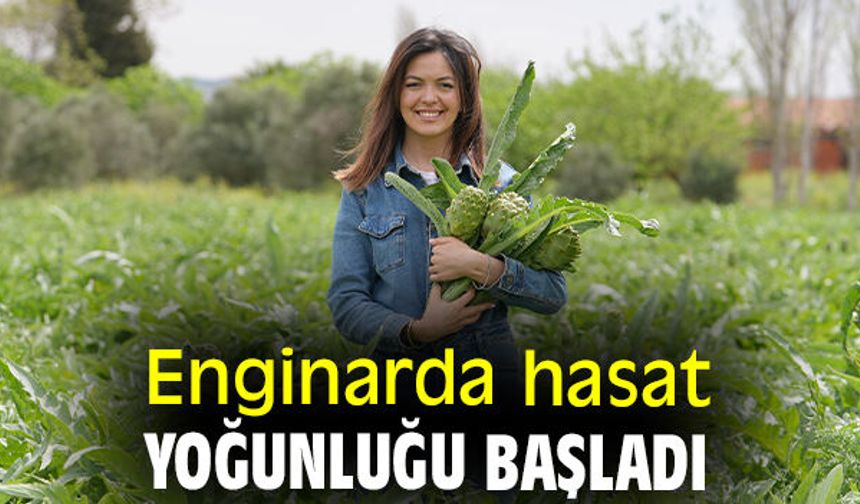 Enginar hasadı dolu dizgin