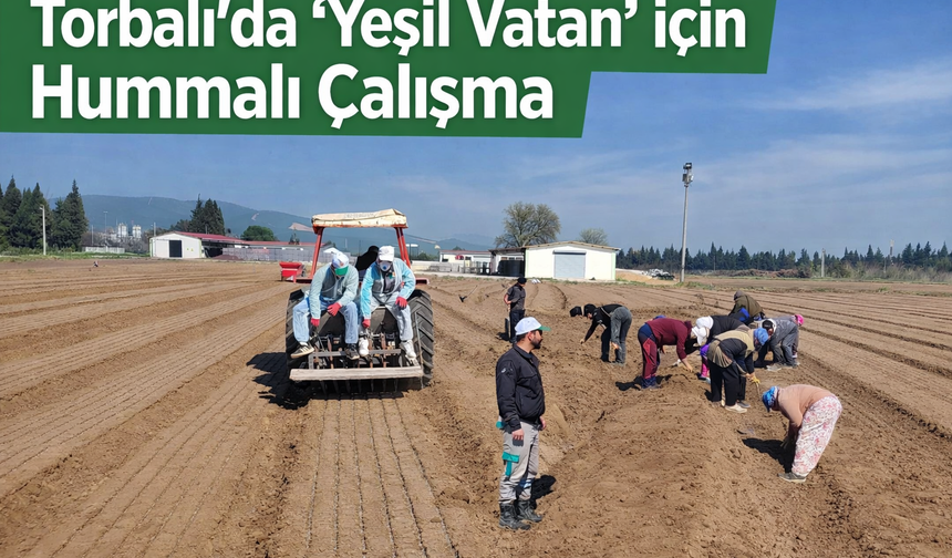 Torbalı Fidanlık Müdürlüğü’nde 2026 Fidan Üretimi Devam Ediyor
