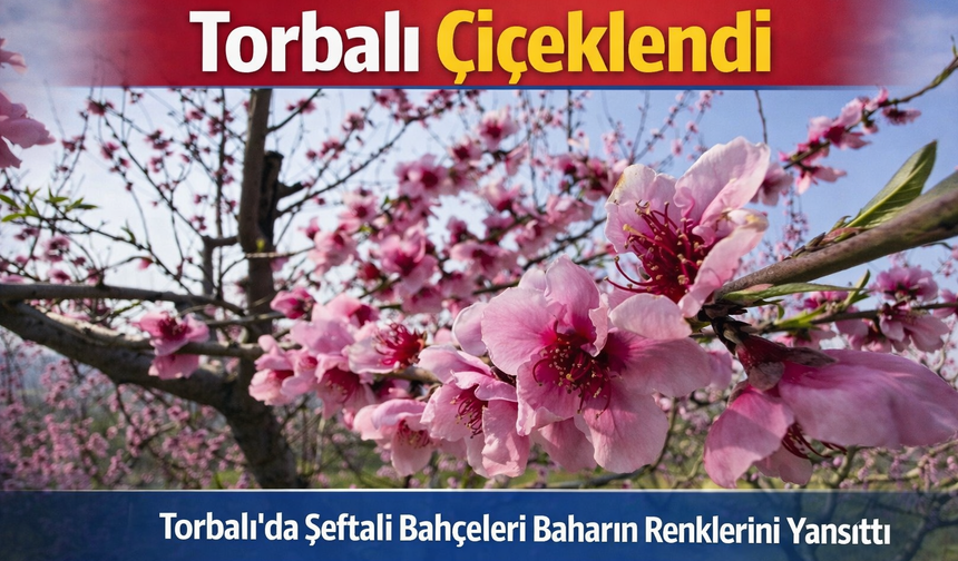 Torbalı’da Şeftali Bahçeleri Çiçek Açtı: Kartpostallık Görüntüler