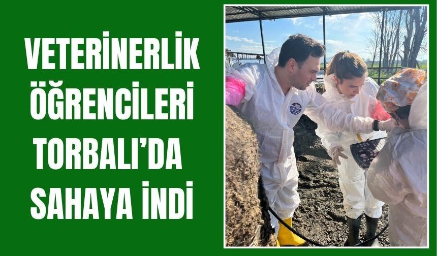 DEÜ Veterinerlik Öğrencileri Torbalı’da Sahaya İndi