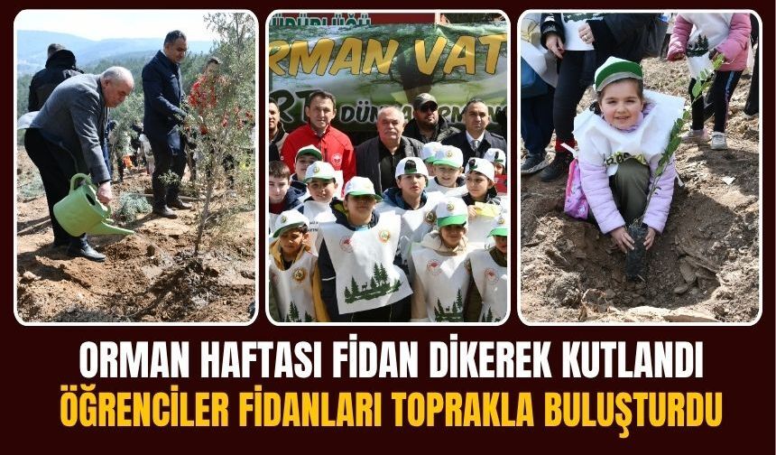 Küllerinden Doğan Orman: Minik Eller Fidan Dikti