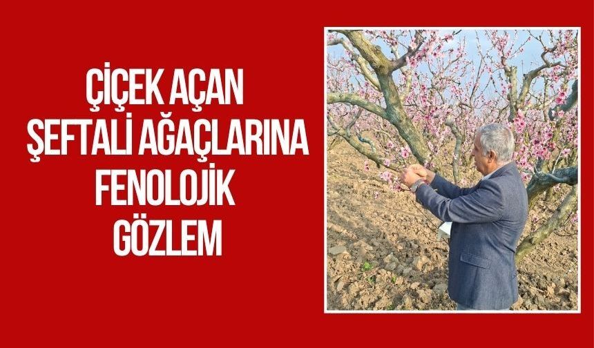 Torbalı’da Tarımda Sıkı Denetim