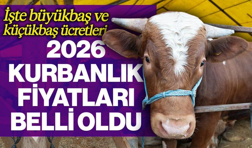 Kurban fiyatları cep yakacak