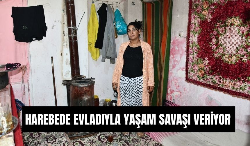 Kağıt Toplayarak Hayata Tutunuyor