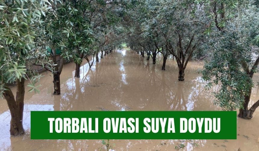 Torbalı’da Yağmur Bereketi: Kuraklığın Ardından Toprak Suya Doydu