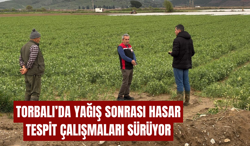 Torbalı’da Yağış Sonrası Hasar Tespit Çalışmaları Sürüyor