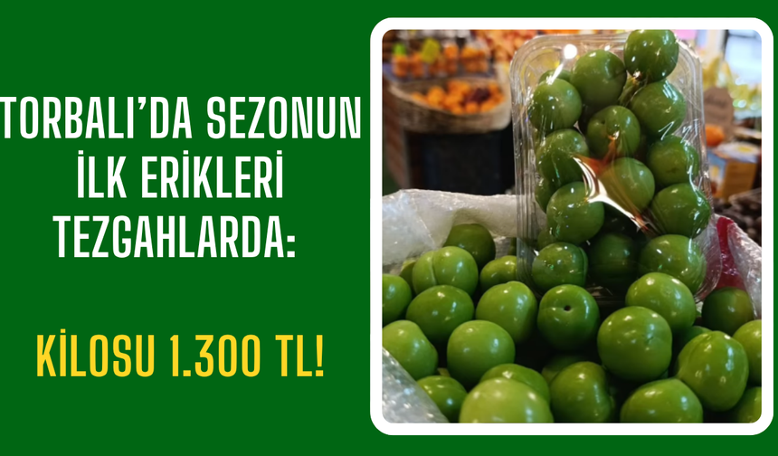 Torbalı’da Sezonun İlk Erikleri Tezgahlarda