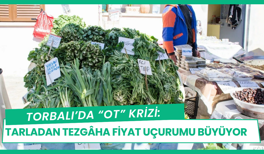 Torbalı’da “Ot” Krizi: Tarladan Tezgâha Fiyat Uçurumu Büyüyor
