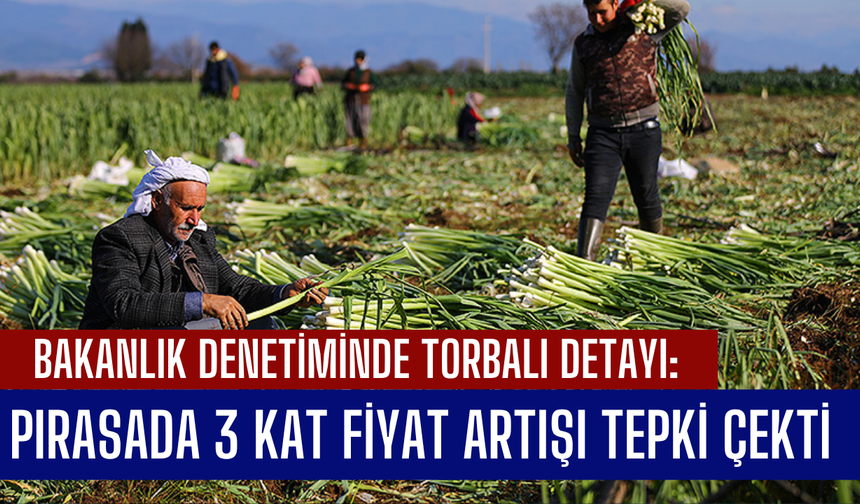 Bakanlık ifşa etti: Üretici kazanamazken aracı cebi dolduruyor