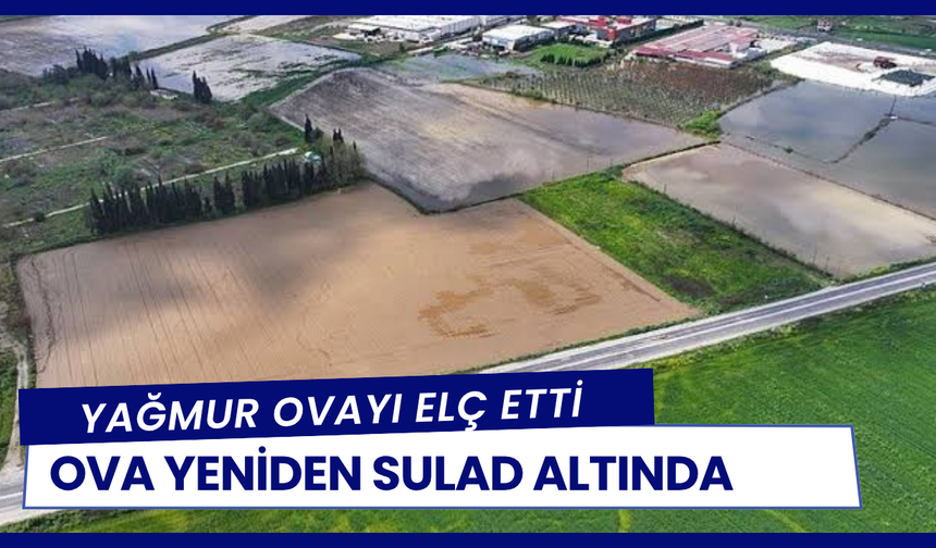 Torbalı'da tarım arazilerini sağanak vurdu: Üretici zamanla yarışıyor