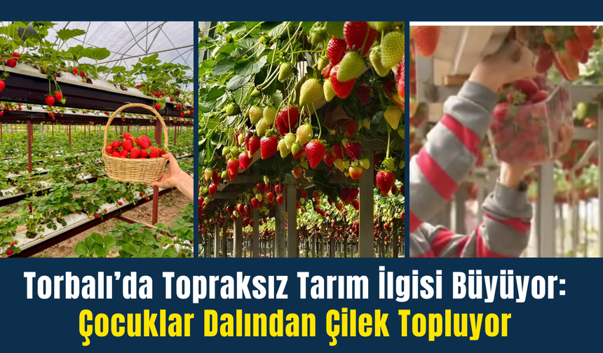 Torbalı’da Topraksız Tarım İlgisi Büyüyor